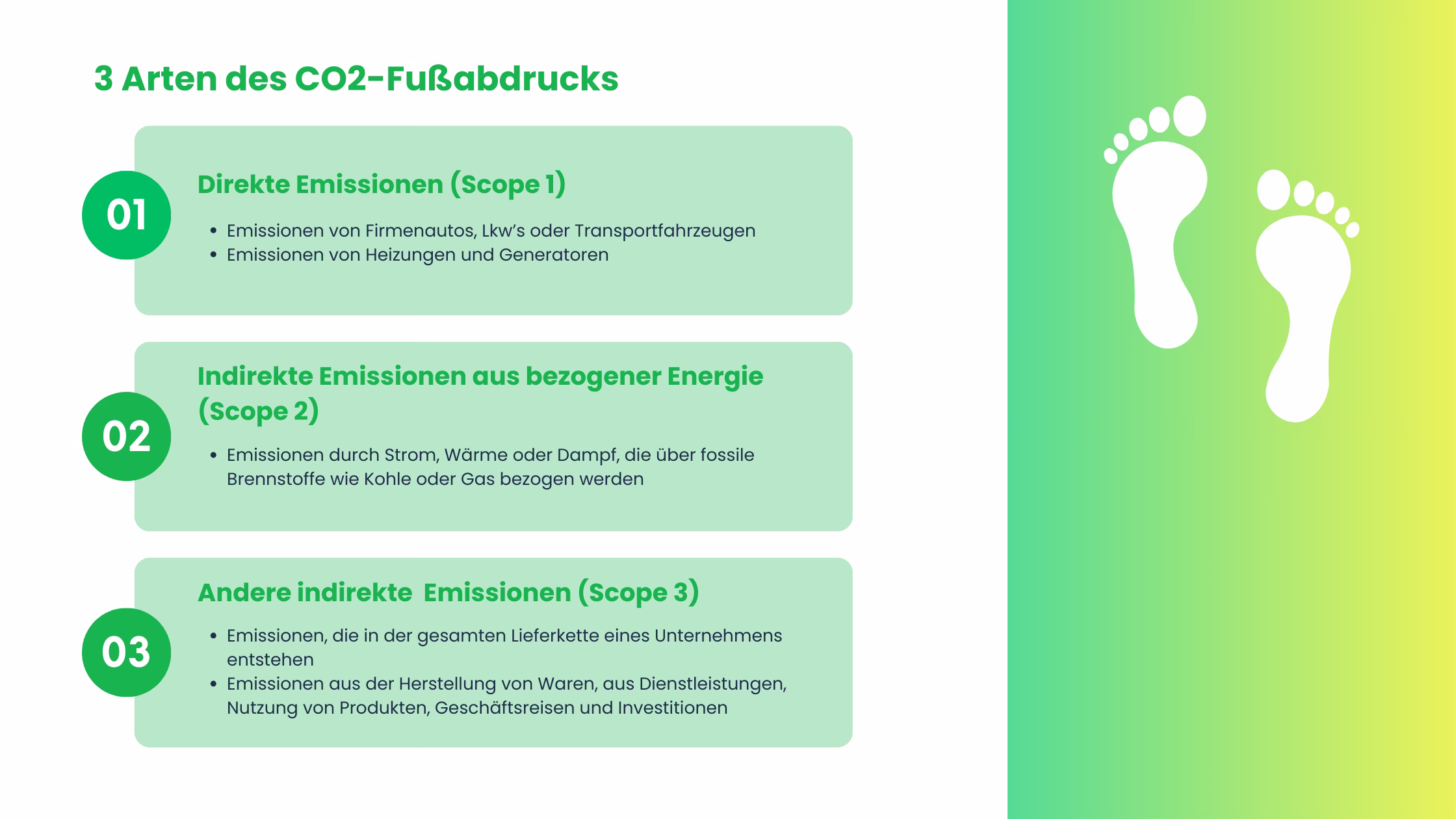 CO2-Fußabdruck-Arten