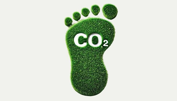 CO2 Fußabdruck: Bedeutung und Strategien zur Reduzierung