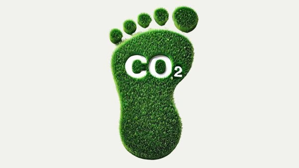 CO2 Fußabdruck: Bedeutung und Strategien zur Reduzierung