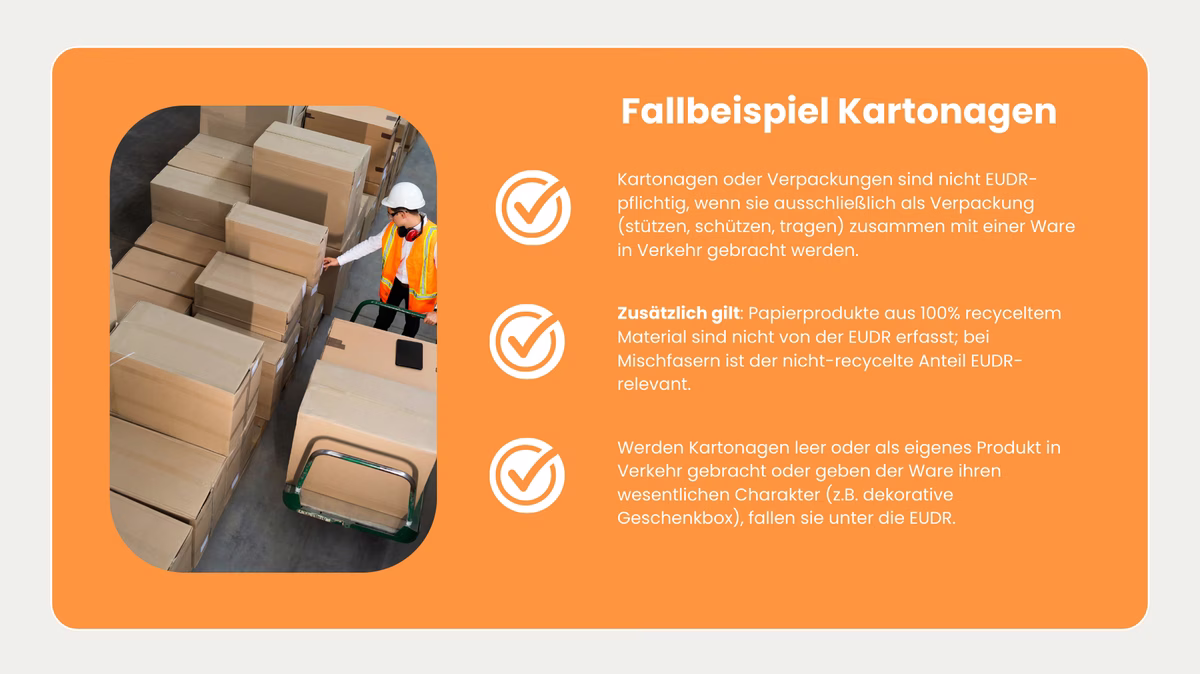 EUDR-Fallbeispiel-Kartonagen