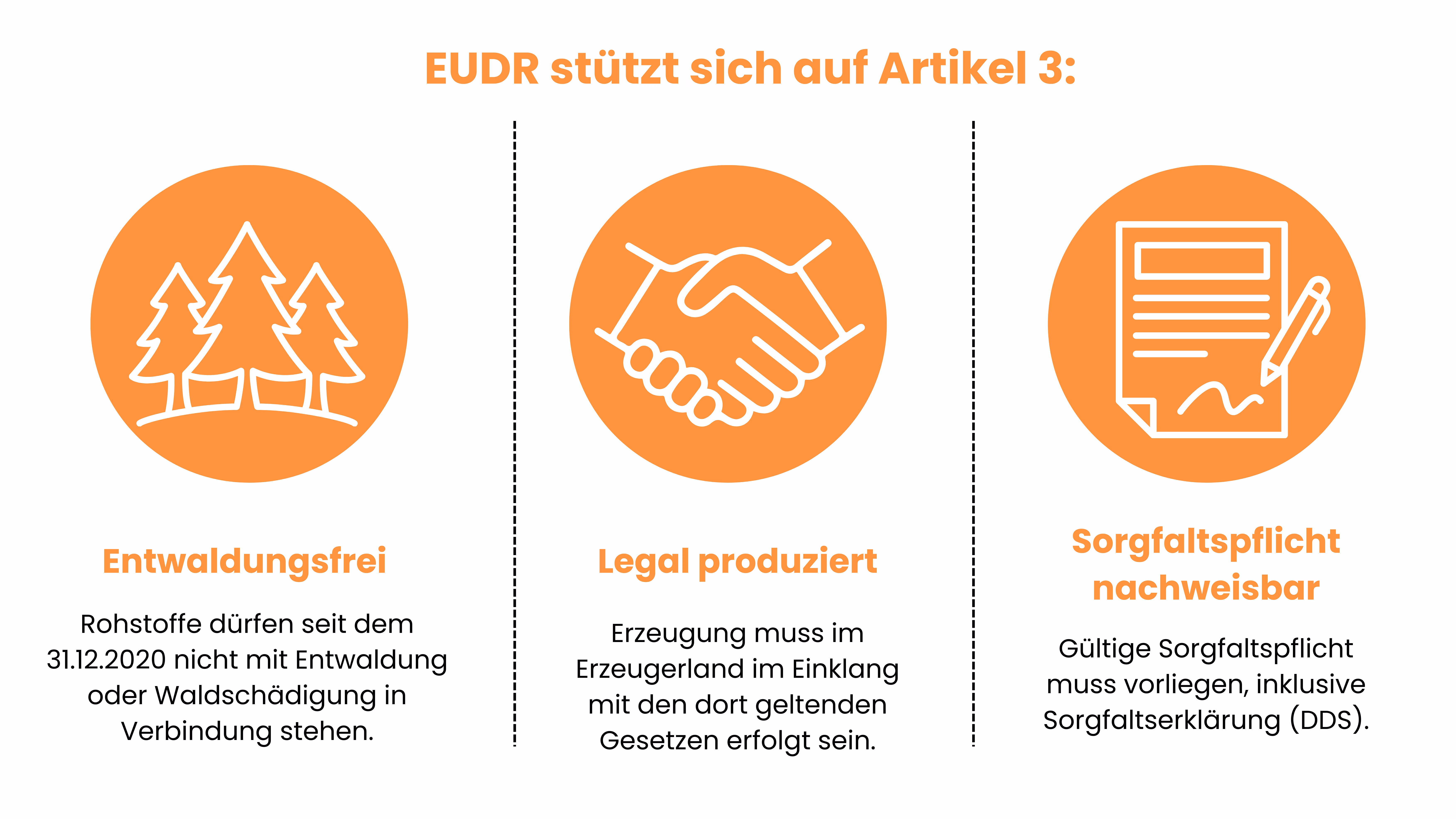 EUDR Infos Artikel 3