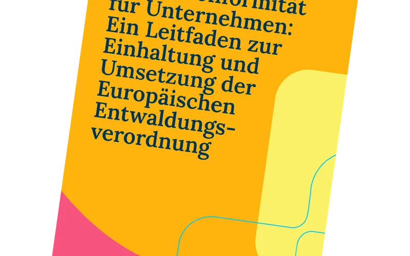 Leitfaden_Risikoanalyse leicht gemacht (square)