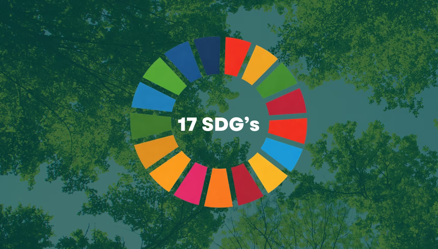 Sustainable Development Goals (SDG): 17 Ziele für eine nachhaltige Entwicklung