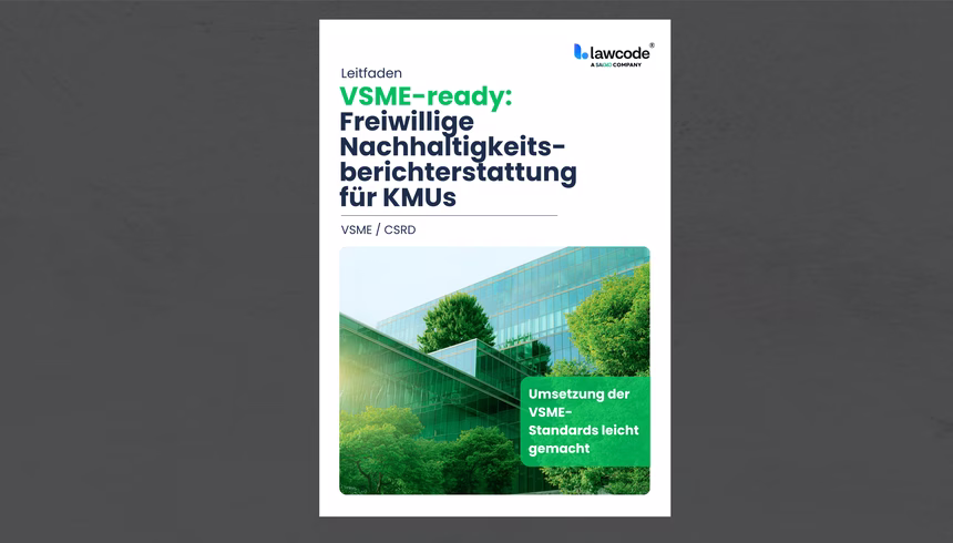 VSME Leitfaden Mock Up